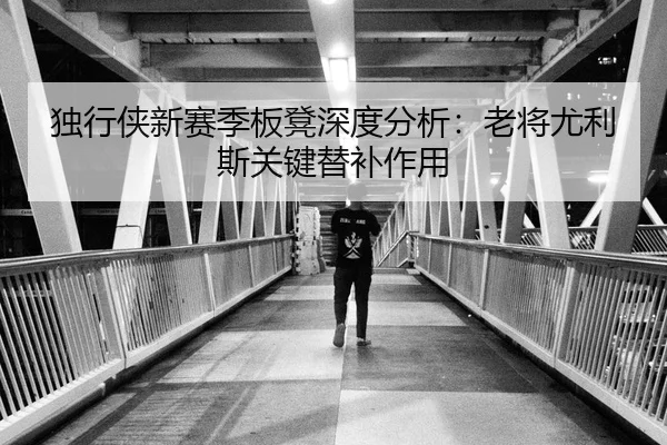 独行侠新赛季板凳深度分析：老将尤利斯关键替补作用 - jinnianhui