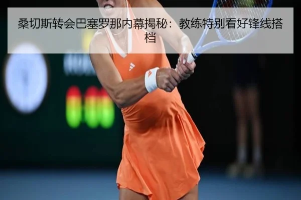 桑切斯转会巴塞罗那内幕揭秘：教练特别看好锋线搭档 - jinnianhui